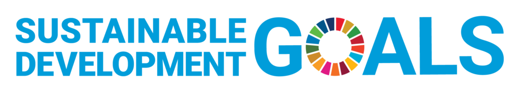 E Sdg Logo Without Un Emblem Horizontal Transparent Web